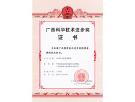 【科技類】科技進(jìn)步三等獎證書(DRP)