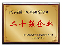 【行業(yè)類】南寧高新區(qū)2008年度綜合實力二十強(qiáng)企業(yè)